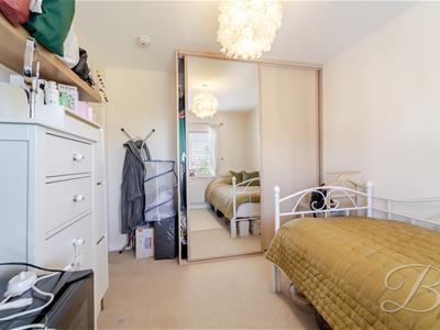 Picture 19